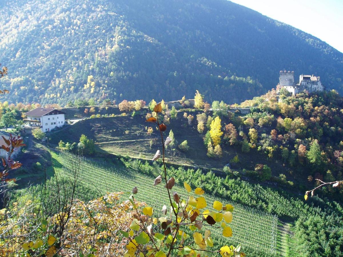 Schlosshof Zu Montani Morter المظهر الخارجي الصورة