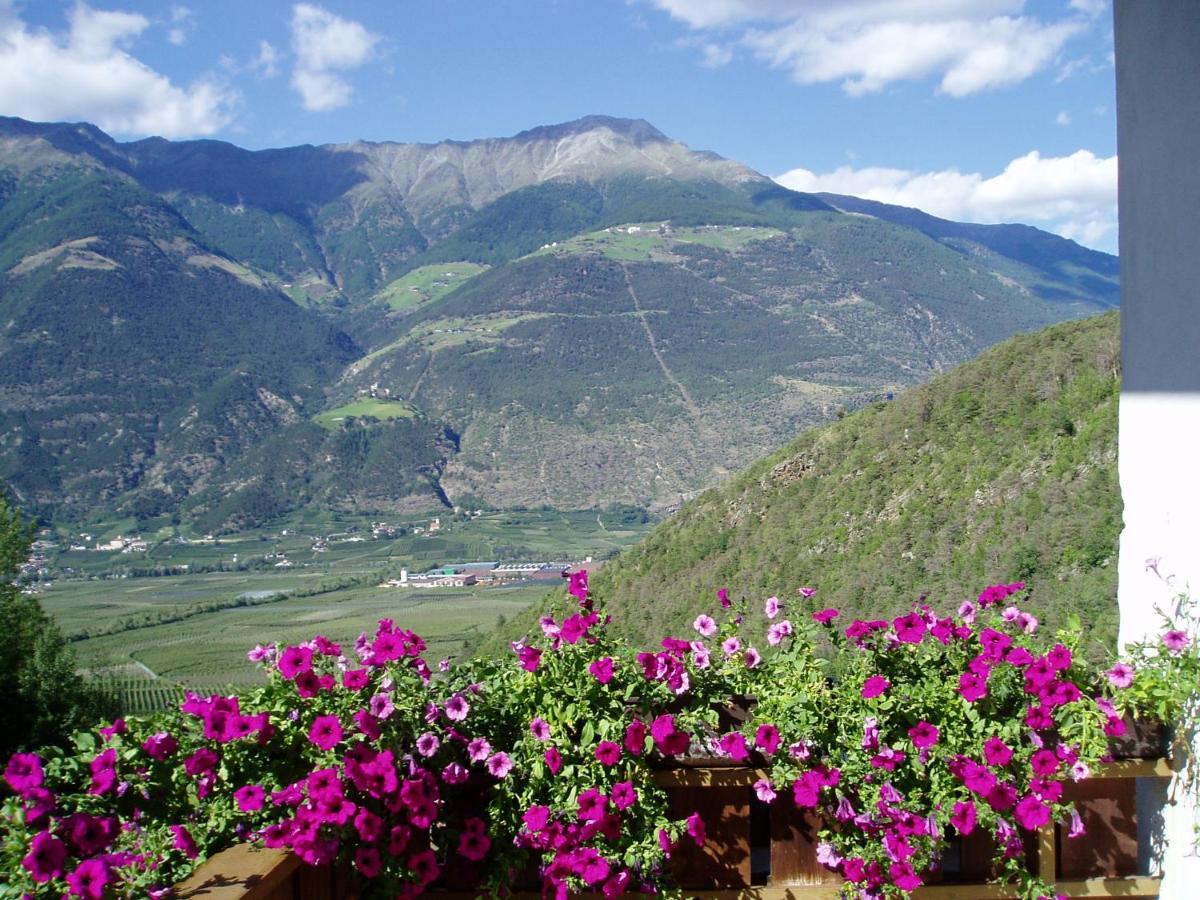 Schlosshof Zu Montani Morter المظهر الخارجي الصورة