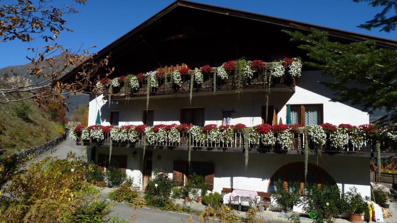 Schlosshof Zu Montani Morter المظهر الخارجي الصورة