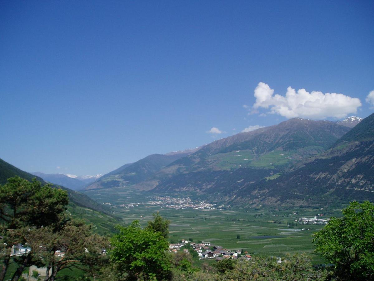 Schlosshof Zu Montani Morter المظهر الخارجي الصورة