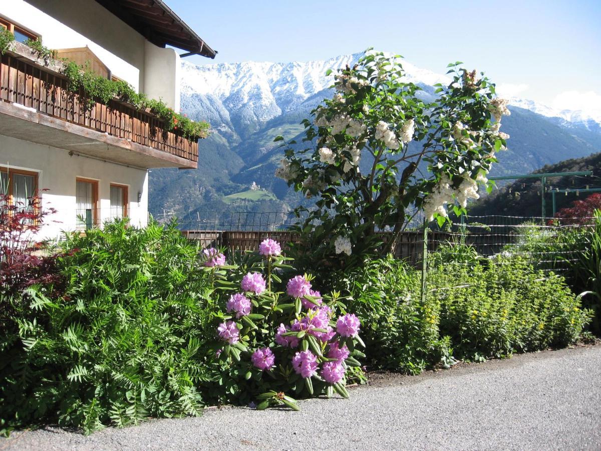 Schlosshof Zu Montani Morter المظهر الخارجي الصورة